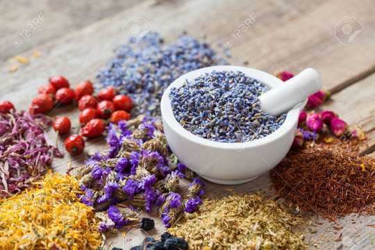 How Folk Medicines For Blood Pressure Work How Folk Medicines For Blood Pressure Work